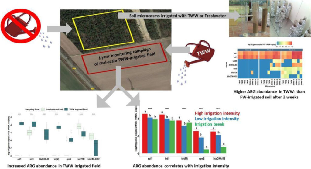 wastewater irrigation on AMR